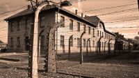 The Holocaust-1933-45
