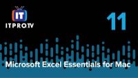 Export and File Types