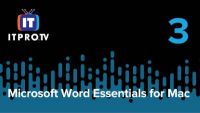 Word Basics