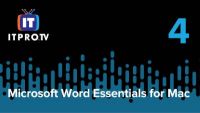 Word Interface