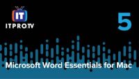 Document Views and Zoom