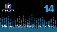Paragraph Formatting
