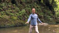 Qi Gong Mindfulness in Motion