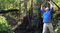 Qi Gong for High Blood Pressure