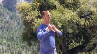 Qi Gong for Energy and Vitality