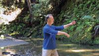 Qi Gong for Anxiety