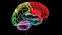 Mindfulness as Brain Training