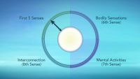 The Wheel of Awareness: A Model for Well-Being