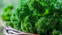 Brassica Eudicots: The Mustards