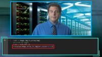 Opening the Black Box of a Neural Network