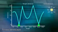 Genetic Algorithms for Evolved Rules