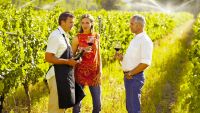 Why Learn about Wine?