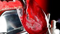 The Reds-Pinot Noir to Cabernet