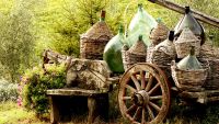 Wines of Southern Italy