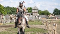 Carnival in the High Middle Ages