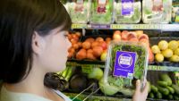 Counterculture-From Hippies to Foodies