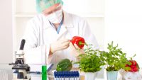 Science of New Dishes and New Organisms