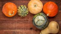 Winter Squashes