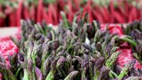 Stems and Stalks: Asparagus and Rhubarb