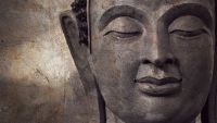 Why Mindfulness Matters