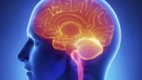 Modifying Our Brain Function and Structure