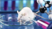 Varieties and Quality of Scientific Evidence