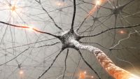 Critical Thinking and Science in Your Life