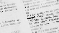 Five Principles for Learning Vocabulary
