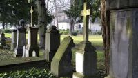 Searching in Your Ancestors' Backyards