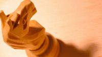 Secrets of the Pawns and Knights
