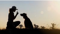 The Principles of Dog Training
