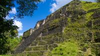 Discovering the Maya