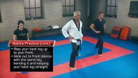 Tae Kwon Do: Seeking Perfection of Form
