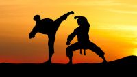 Kung Fu: Stances and Moving Drills