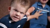Peer Conflicts and Social Development