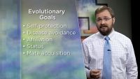 An Evolutionary View of Decision Making
