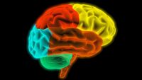 Halo Effects and Choice