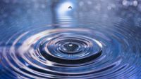 Water on Mars and Prospects for Life