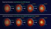 A Solar System Time Machine and Meteorites