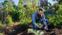 Fundamentals of Gardening and Soil