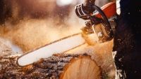 Laborsaving Power Tools on the Homestead