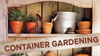 How to Grow Anything: Container Gardening Tips & Techniques