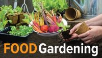 How to Grow Anything: Food Gardening for Everyone