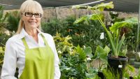 Shopping for the Best Trees and Shrubs