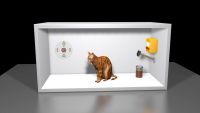 Bell’s Theorem and Schrödinger’s Cat