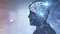 How Experience Alters the Brain