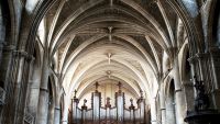Vaulting - A Look at Roofs