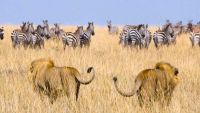 The Social Implications of Evolution
