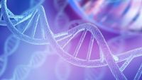 Evolution and Molecular Biology