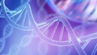 Genome Mutations: Evolution’s Raw Material